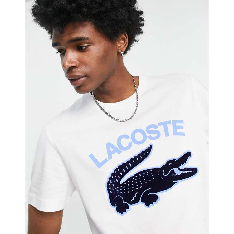 Lacoste t-shirt with large logo and croc in white | ASOS