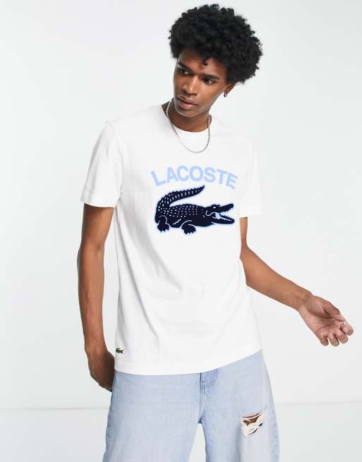 Lacoste t-shirt with large logo and croc in white | ASOS