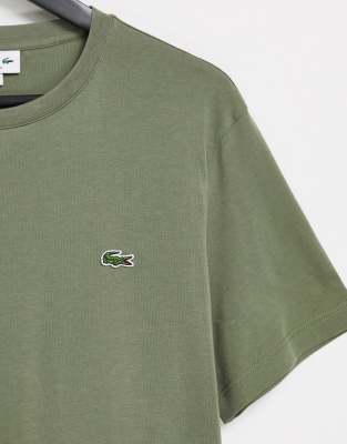 t-shirt lacoste khaki