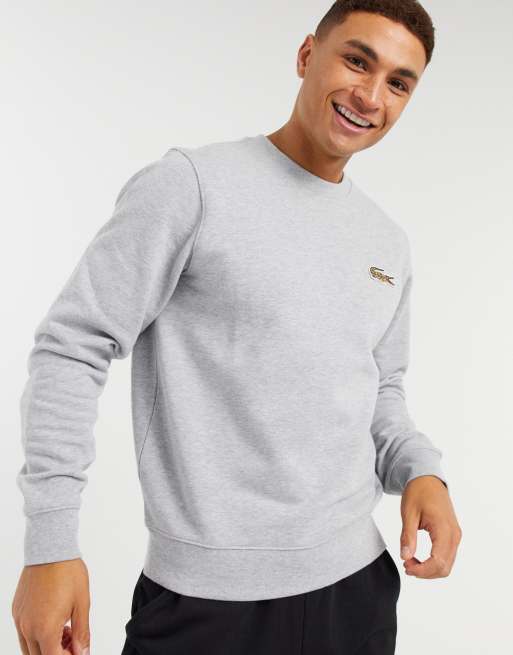 ASOS Lacoste Graues Leopardenmuster in mit National | Sweatshirt Geographic Krokodil-Logo x