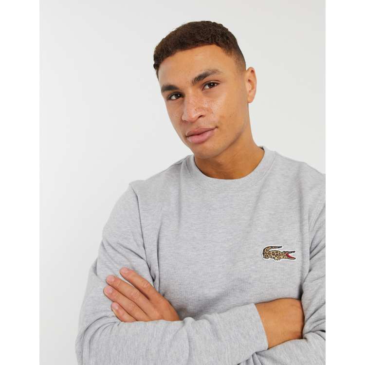 Lacoste x National Geographic leopard croc logo sweatshirt in gray