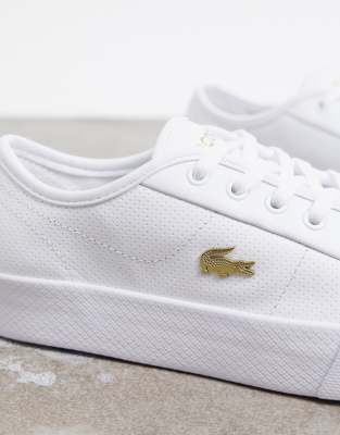 lacoste white shoes gold logo