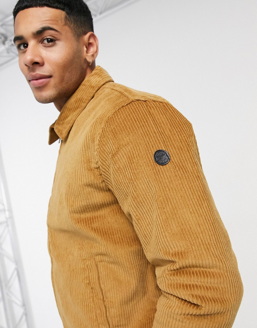 Le Breve Tall Cord Bomber Jacket In Tan-brown