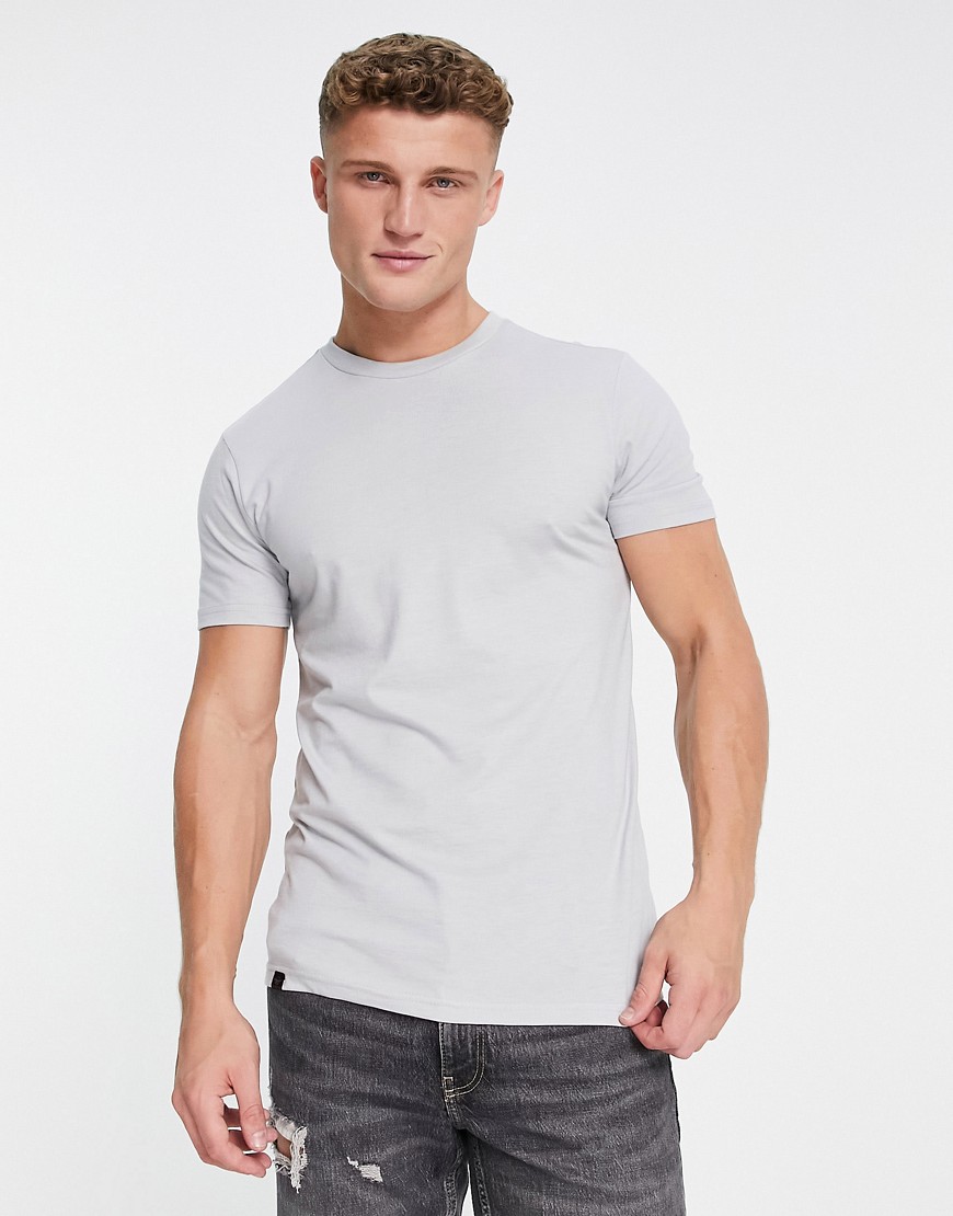 Le Breve muscle fit t-shirt in silver gray