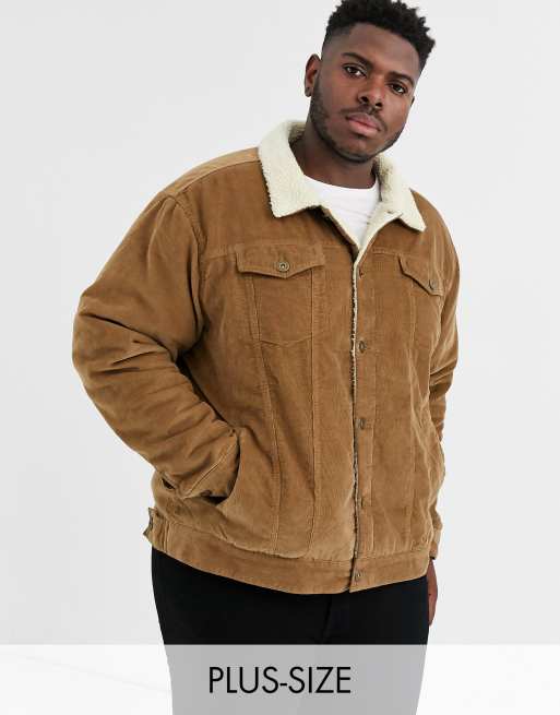 Le Breve Plus borg cord jacket in brown