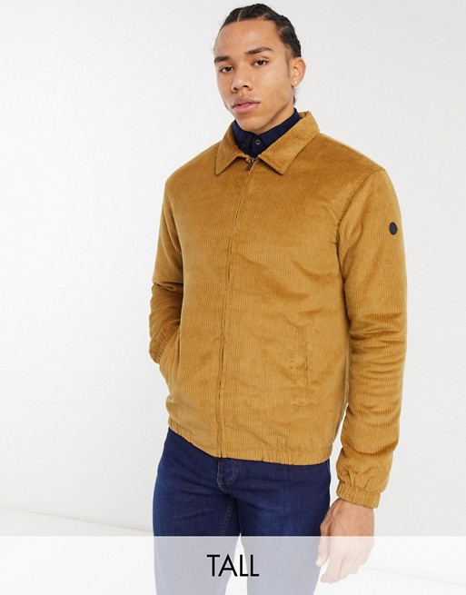 Le Breve Tall cord bomber jacket in tan