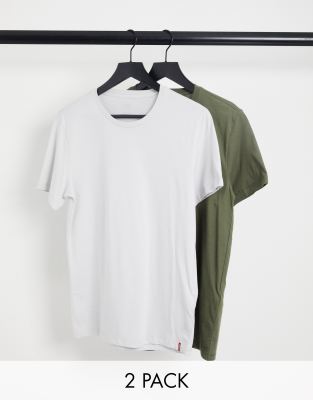 Levi's Levi's 2 pack t-shirts in multi