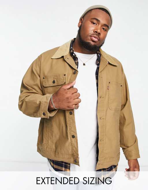 Levi's Big & Tall denim trucker jacket in tan | ASOS