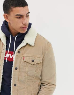 levi's cord borg trucker jacket in beige