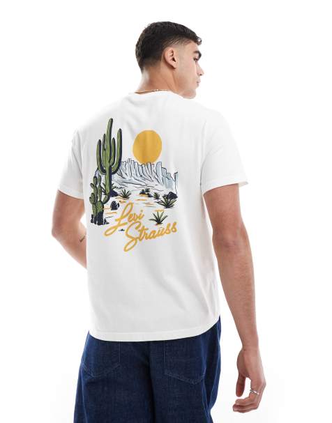 Levi's desert scene logo back print t-shirt relaxed fit in white - view 1