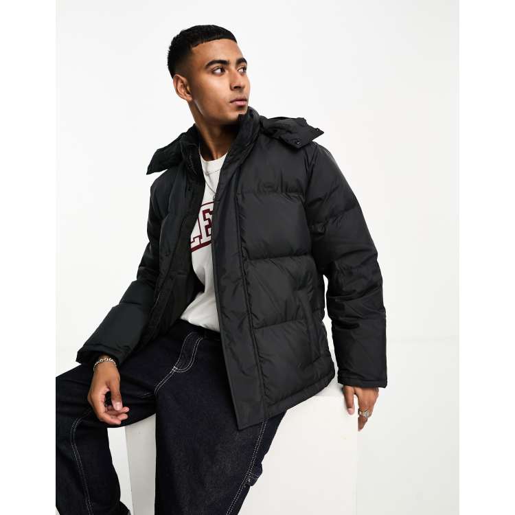 Puffer levis 2024