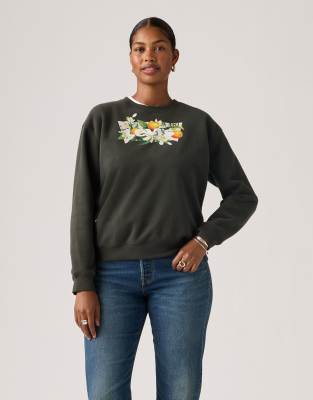 Levi's - Everyday - Sweatshirts in Schwarz mit Rundhalsausschnitt, Farbverlauf und Print im Malbuch-Design