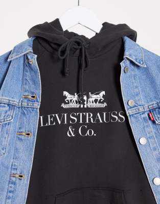 levi's graphic sport hoodie