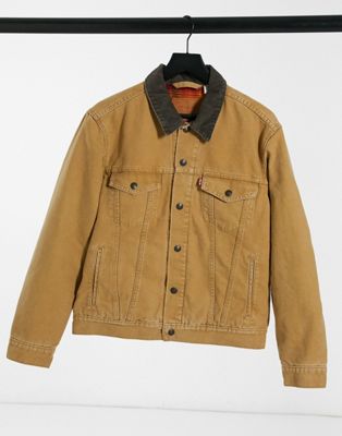 Levi's lined canvas trucker jacket in 