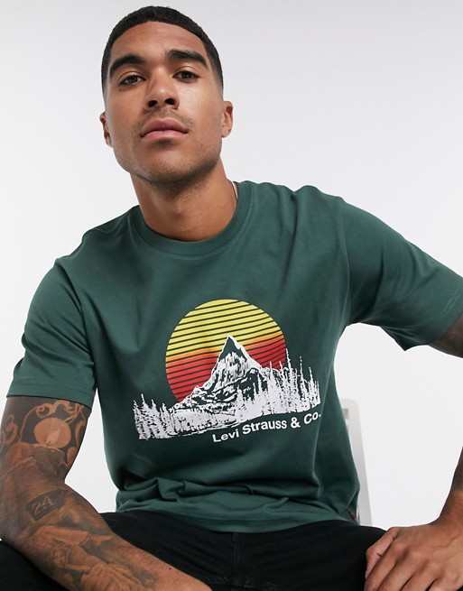 Levi's mountain logo relaxed fit t-shirt in sycamore green