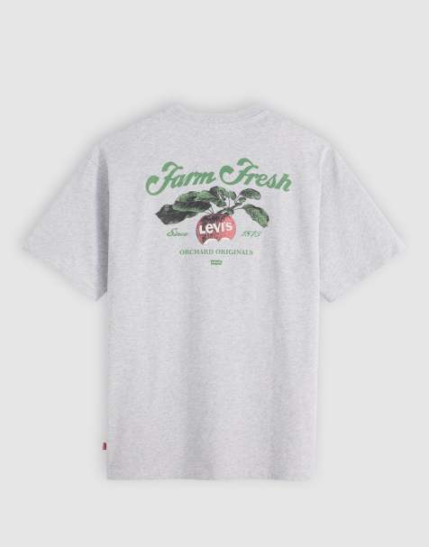Levi's orchard farm fresh back print vintage oversized t-shirt in grey marl - view 1