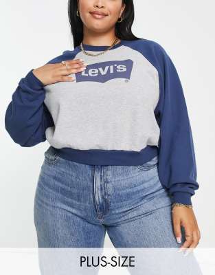 Levi's Plus vintage sweatshirt in grey and blue