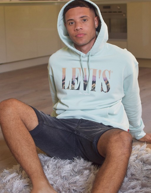 Levi's relaxed fit serif photo logo hoodie in mint green