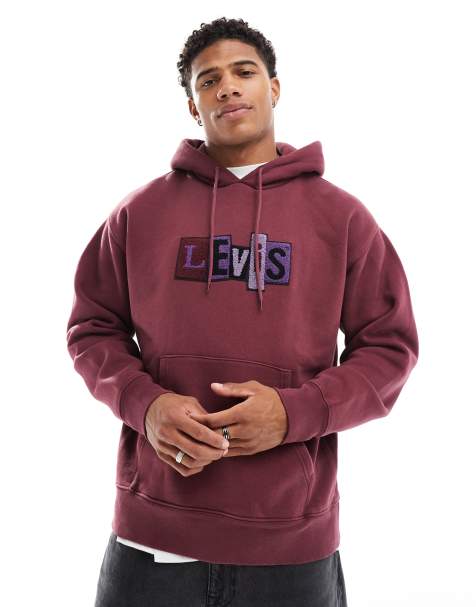 Levi's Skateboarding - Sweat à capuche décontracté avec empiècements logo en maille chenille - Bordeaux - view 1