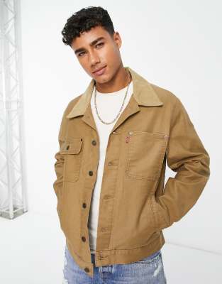 Levi's stock denim trucker jacket in tan with cord collar