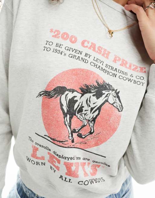 Levi strauss hotsell and co sweatshirt