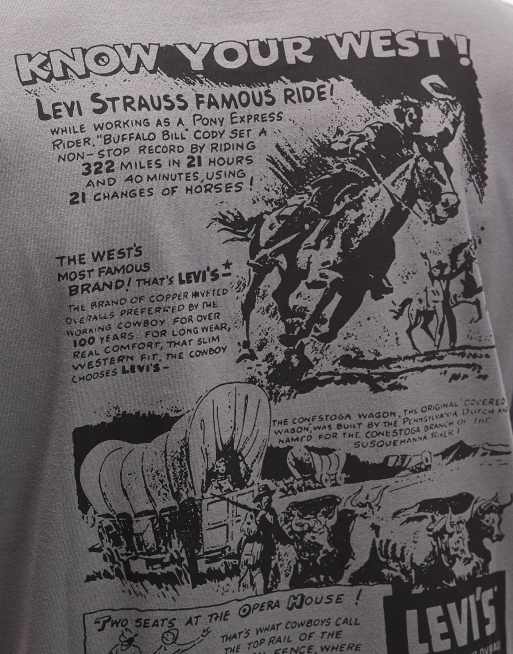 Levi's - T-shirt décontracté avec motif western au dos - Gris, 5 de 5