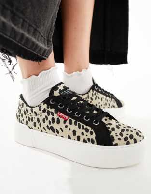 Levi's Tijuana trainer with logo in leopard print