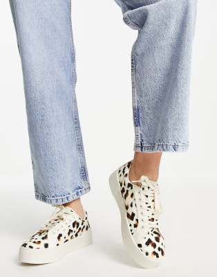 levi platform trainers