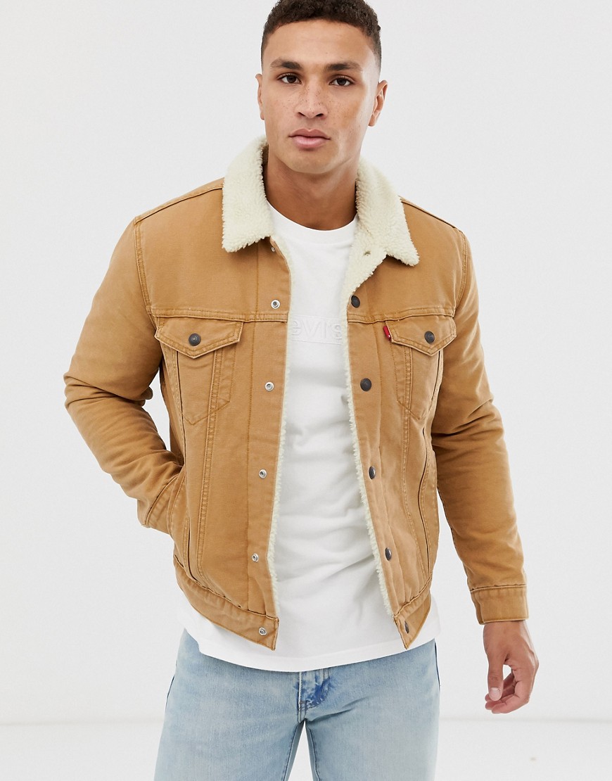 Levi's type 3 borg lined canvas trucker jacket in desert boots tan