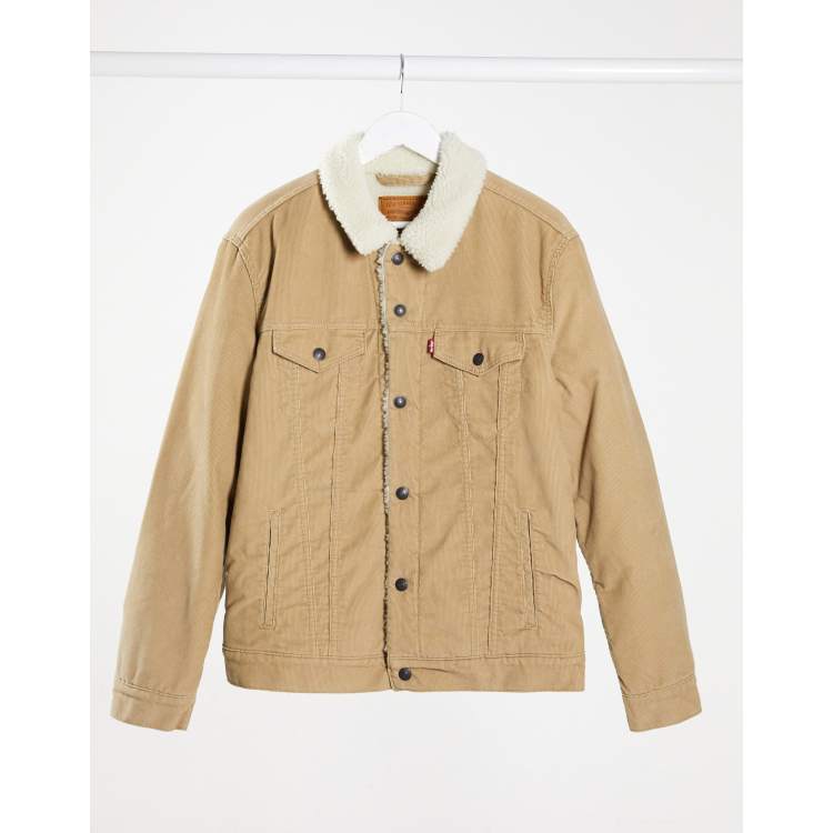 True chino cord better sale