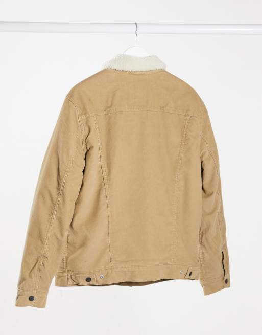 Levi's type 3 borg trucker best sale jacket chino cord