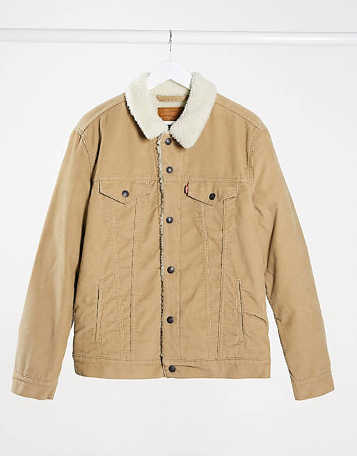 Levi's type 3 sherpa lined cord trucker jacket in true chino beige