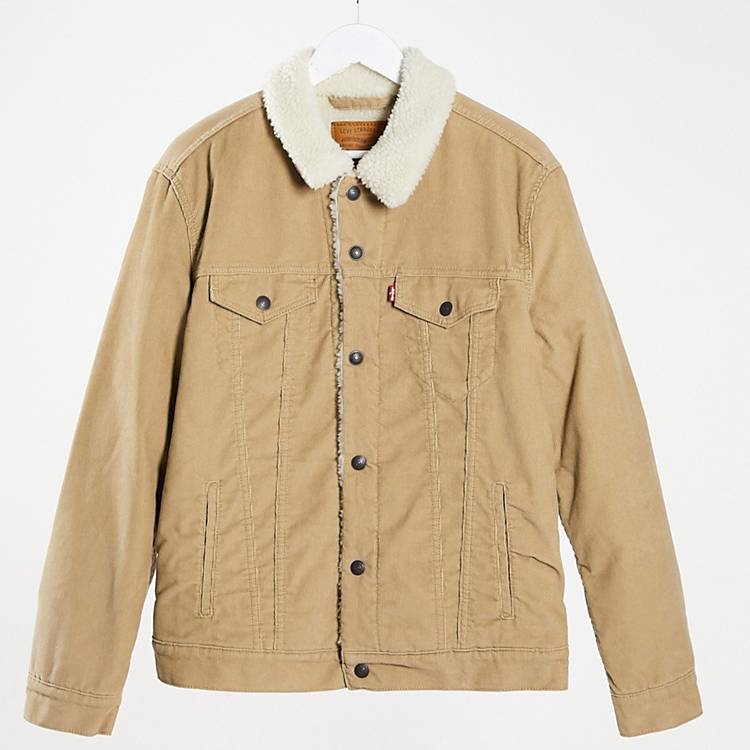 Levi's type 3 sherpa lined cord trucker jacket in true chino beige