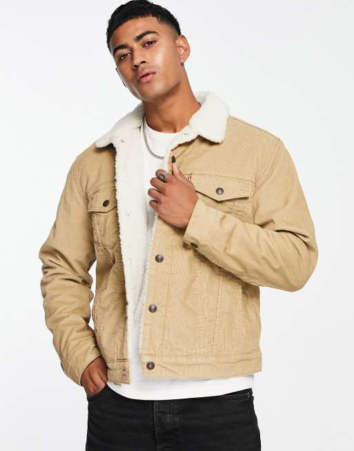 Levi's type 3 sherpa lined denim trucker jacket in cream cord | ASOS