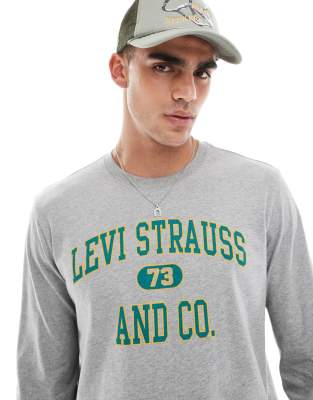 varsity logo relaxed fit long sleeve T-shirt in gray heather