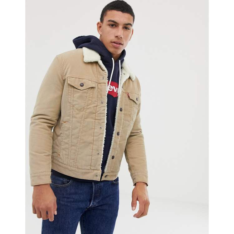 Veste levis velour beige new arrivals