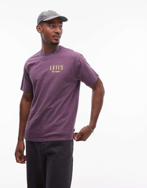 Levi's Vintage relaxed fit serif logo stripe t-shirt in purple/grey