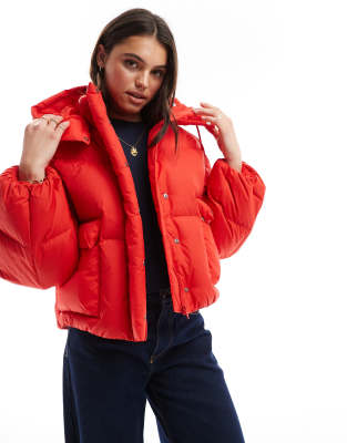 Levi's Levi's western shorty hooded nylon bubble down puffer in red