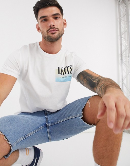 Levi's Worldwide tshirt with back print in white