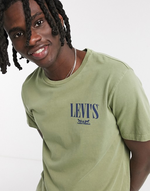 Levi's Youth serif logo garment dye t-shirt in aloe washed green