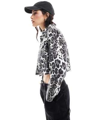 Liquor N Poker Leopard Print Fitted Denim Jacket In Multi