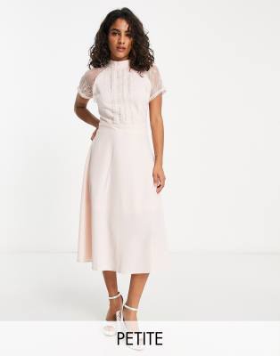 Liquorish Petite a line lace detail midi dress in mink - ASOS Price Checker