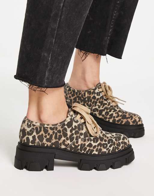 Leopard lace up store shoes