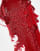 Thumbnail 3 van 4