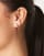 Thumbnail 3 van 3