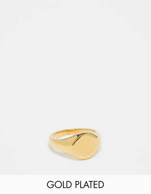 stainless steel signet ring in 18k gold plate