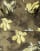 Thumbnail 5 of 5