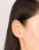 Thumbnail 5 of 5