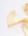 Thumbnail 2 van 3