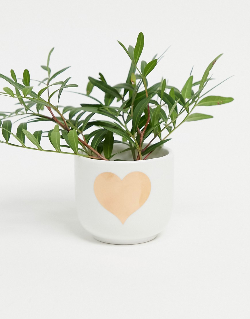 фото Маленький горшок для растений с сердечком sass & belle-золотистый